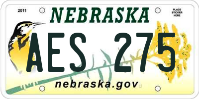 NE license plate AES275