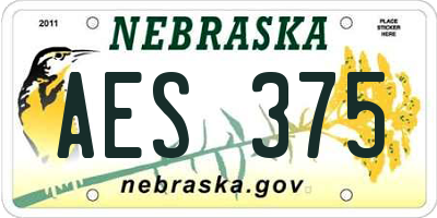 NE license plate AES375