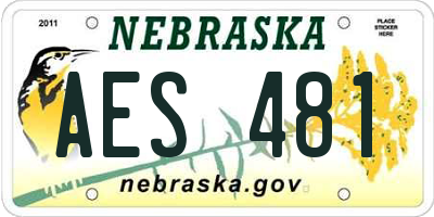 NE license plate AES481