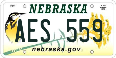 NE license plate AES559