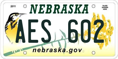 NE license plate AES602