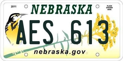 NE license plate AES613