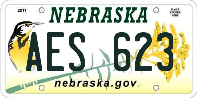 NE license plate AES623