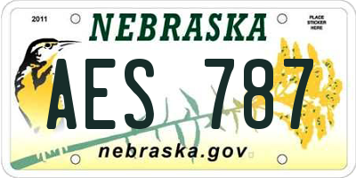 NE license plate AES787
