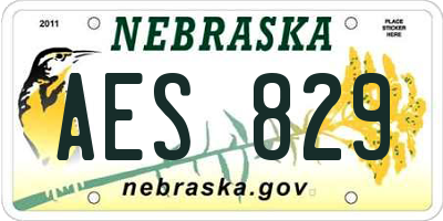 NE license plate AES829