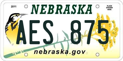 NE license plate AES875