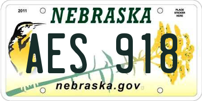 NE license plate AES918