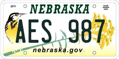 NE license plate AES987