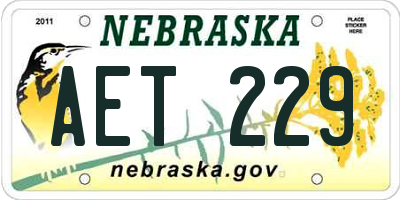 NE license plate AET229