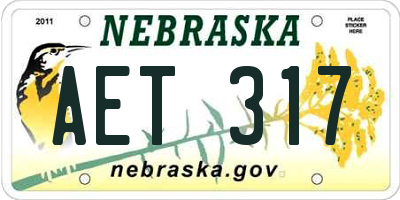 NE license plate AET317