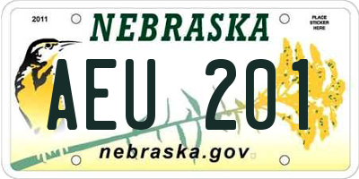 NE license plate AEU201