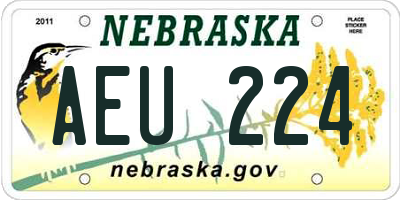 NE license plate AEU224