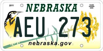 NE license plate AEU273