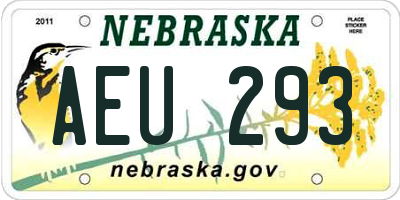 NE license plate AEU293