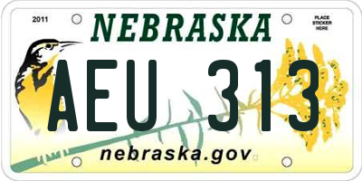 NE license plate AEU313