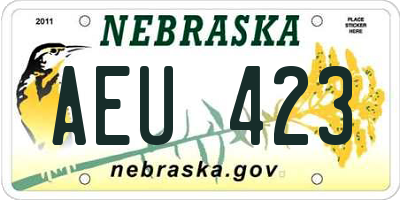 NE license plate AEU423