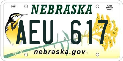 NE license plate AEU617