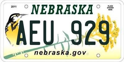NE license plate AEU929