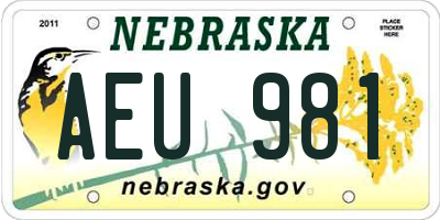 NE license plate AEU981