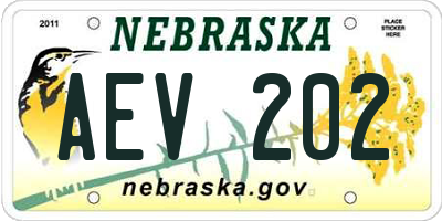 NE license plate AEV202