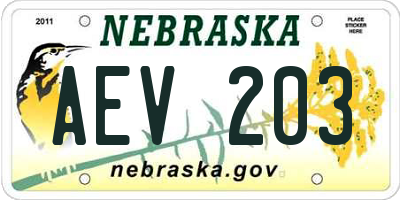 NE license plate AEV203