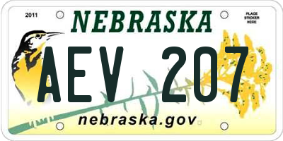NE license plate AEV207