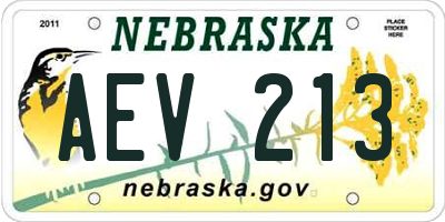 NE license plate AEV213