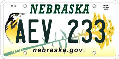 NE license plate AEV233
