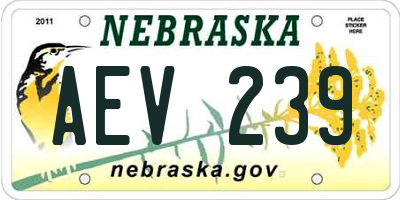 NE license plate AEV239