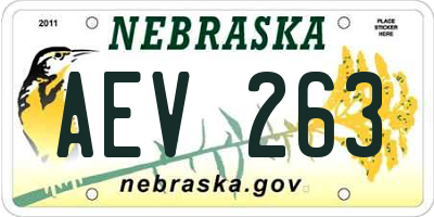NE license plate AEV263