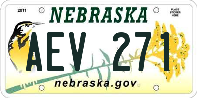NE license plate AEV271