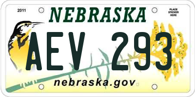 NE license plate AEV293