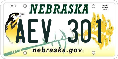 NE license plate AEV301