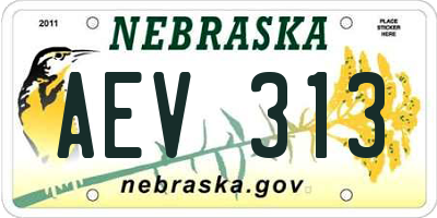 NE license plate AEV313