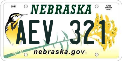 NE license plate AEV321