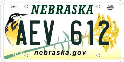 NE license plate AEV612