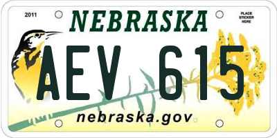 NE license plate AEV615