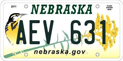 NE license plate AEV631
