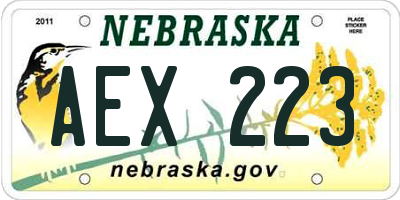 NE license plate AEX223