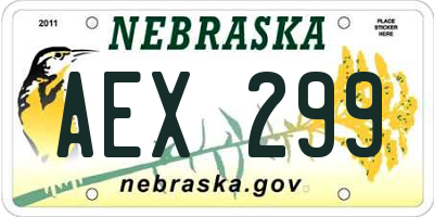 NE license plate AEX299