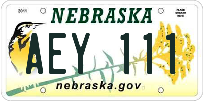 NE license plate AEY111