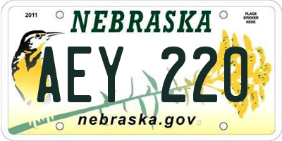 NE license plate AEY220