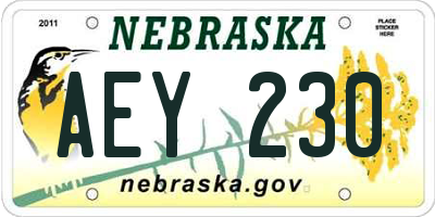NE license plate AEY230