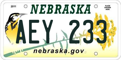 NE license plate AEY233