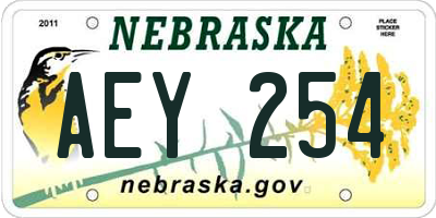 NE license plate AEY254
