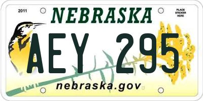 NE license plate AEY295