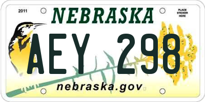 NE license plate AEY298