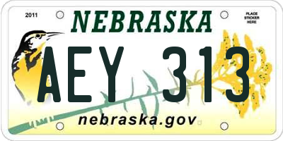 NE license plate AEY313