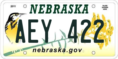 NE license plate AEY422