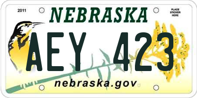 NE license plate AEY423